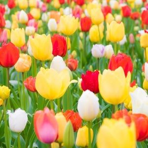 Meet your Posher, Dylan